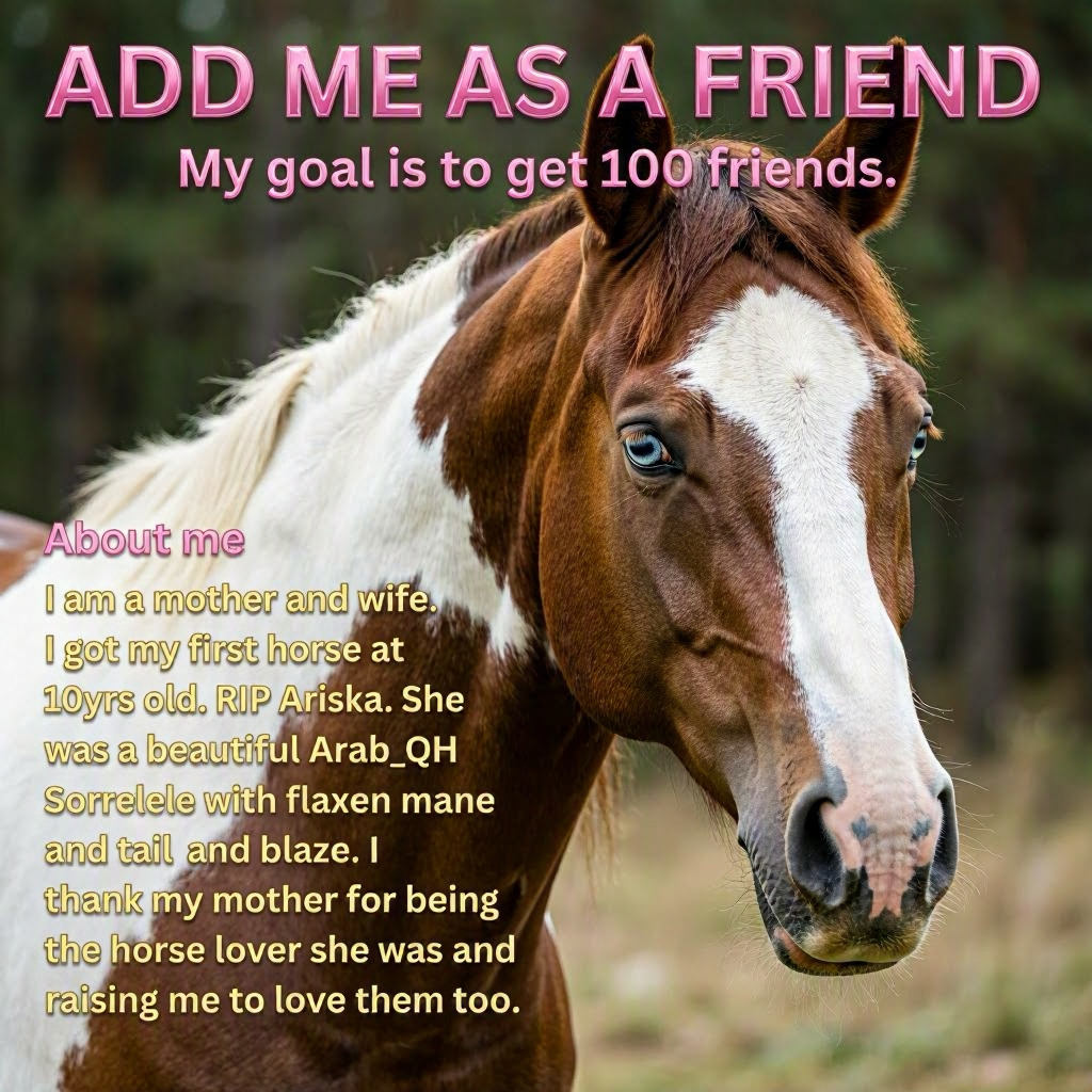 BCO.ed3972fa-894e-4fec-b96e-4414fb02a890.png